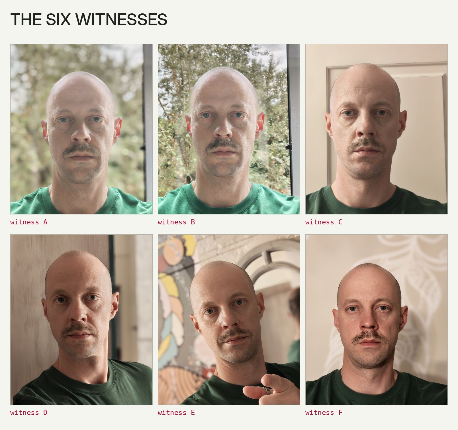 Six source photographs in a green shirt submitted for a 2026 Telegram avatar experiment.